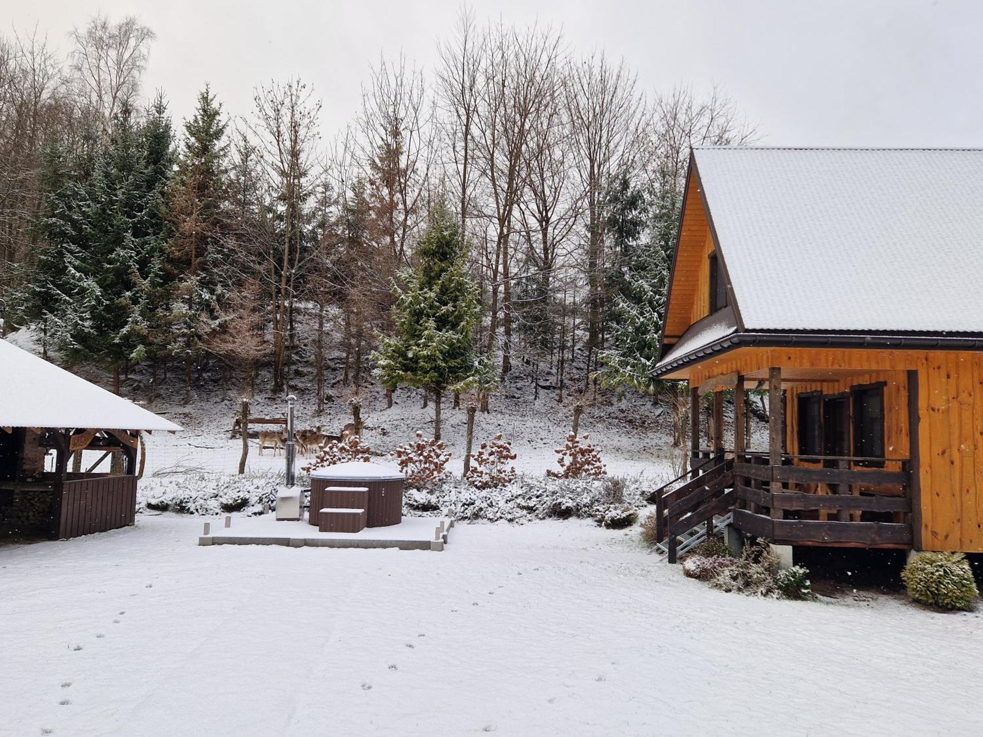 Markowa Bieszczady Holiday home