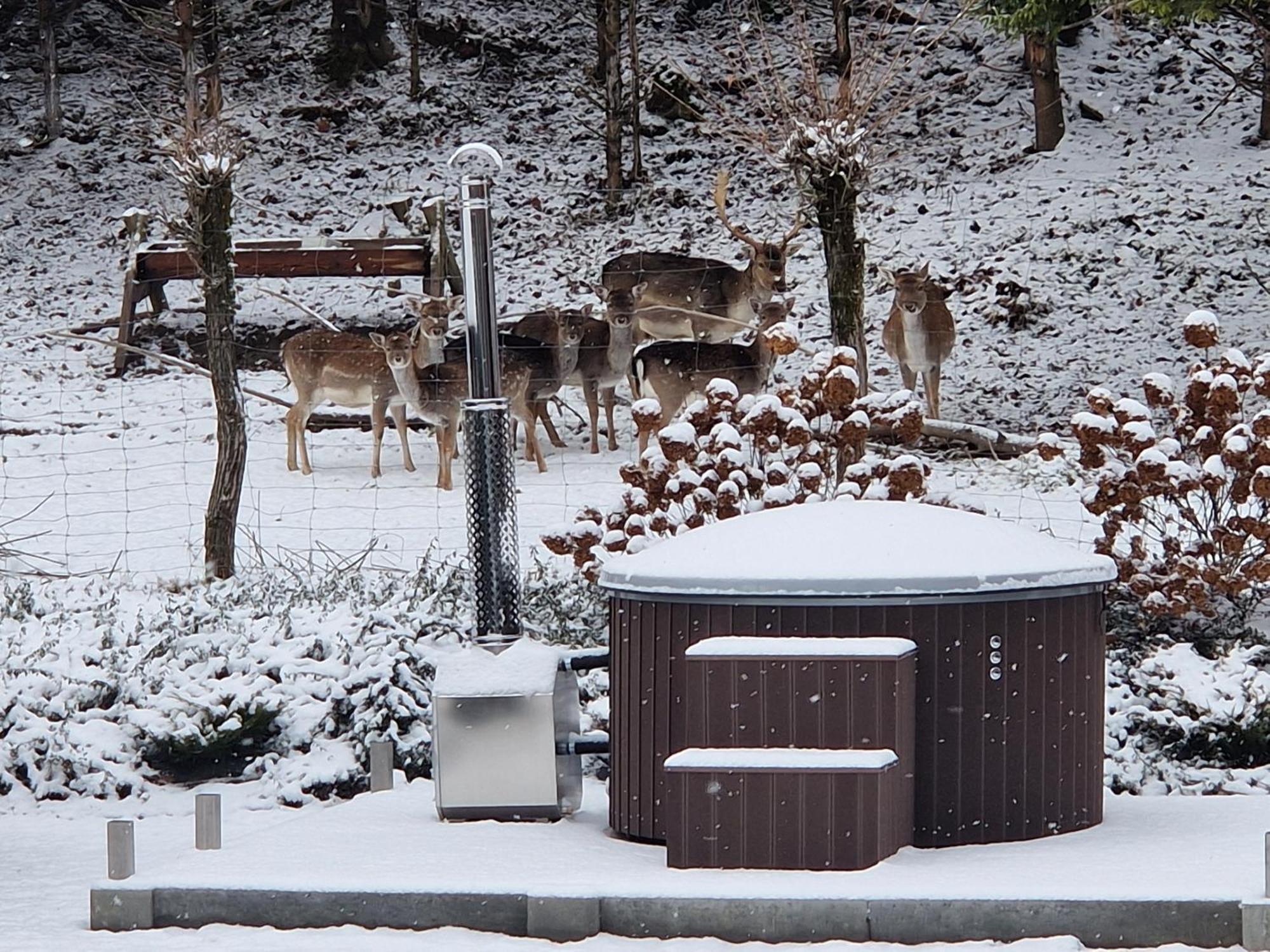 Markowa Bieszczady Holiday home Olszanica