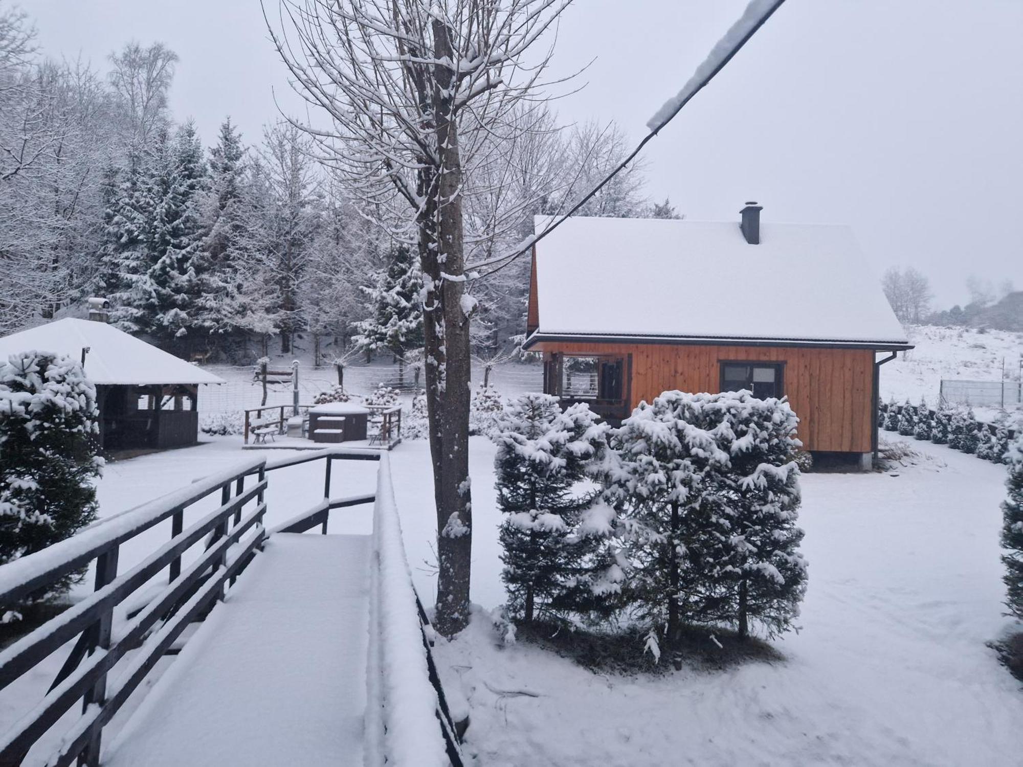 Markowa Bieszczady
