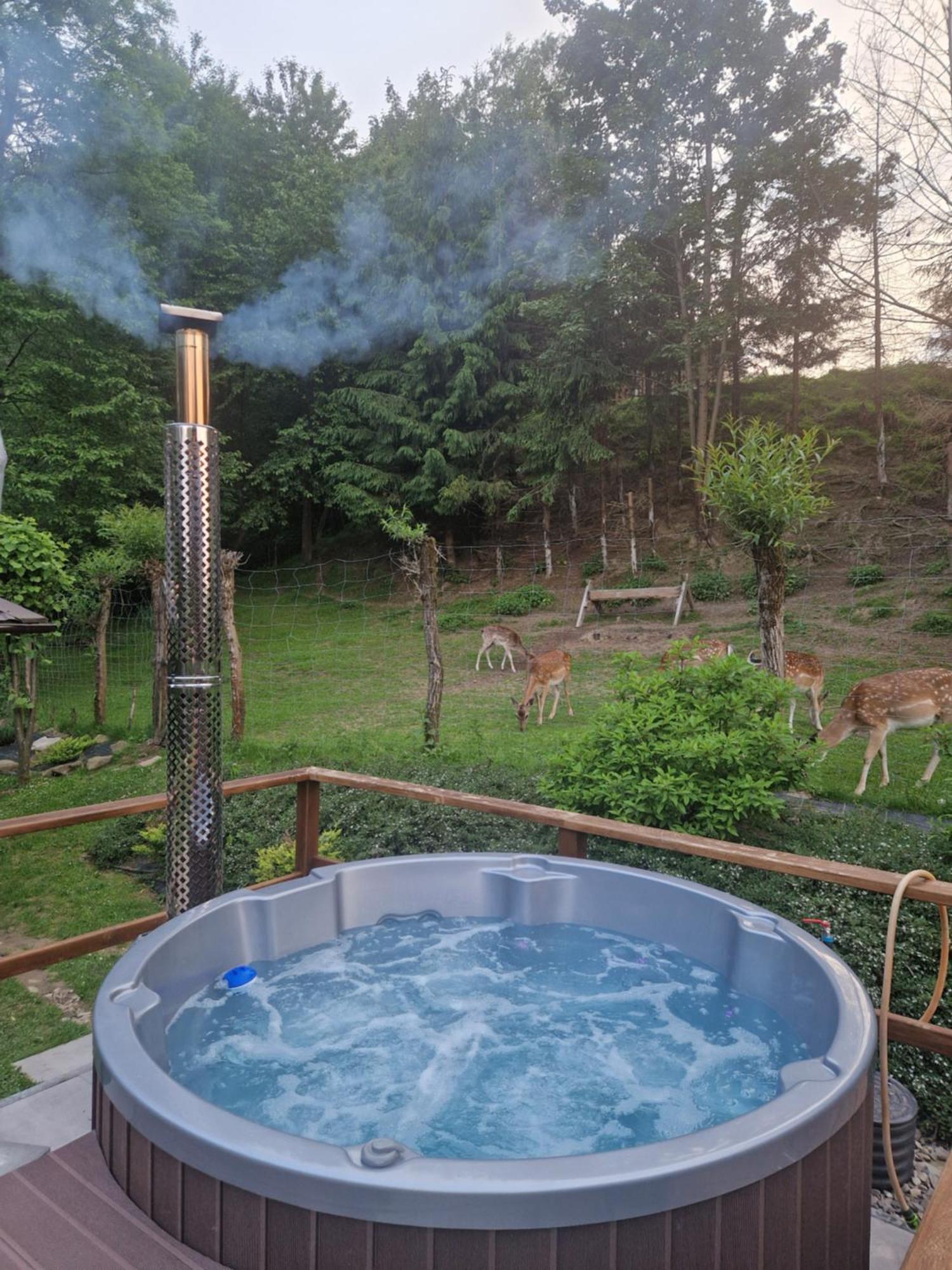 Holiday home Markowa Bieszczady