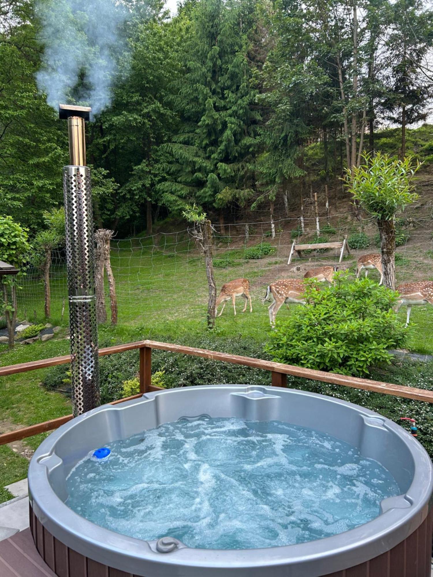 Markowa Bieszczady Holiday home Olszanica