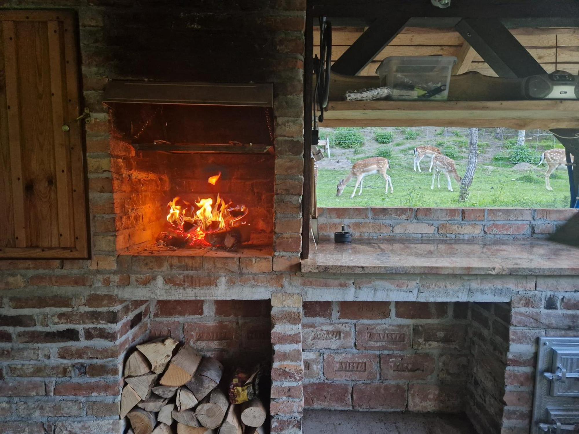 Markowa Bieszczady Holiday home
